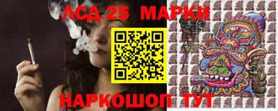 прущие грибы Будённовск