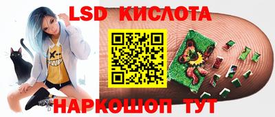 прущие грибы Будённовск