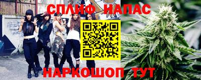 прущие грибы Будённовск