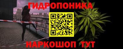 стаф Бугуруслан