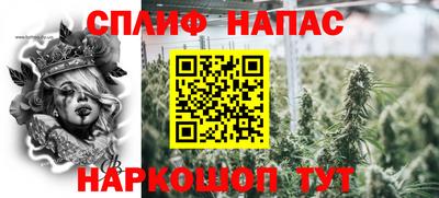 прущие грибы Будённовск