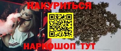 прущие грибы Будённовск